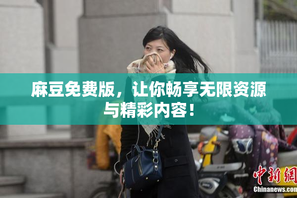 麻豆免费版，让你畅享无限资源与精彩内容！