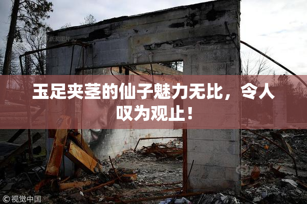 玉足夹茎的仙子魅力无比，令人叹为观止！