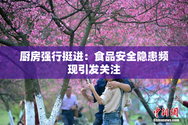 厨房强行挺进：食品安全隐患频现引发关注