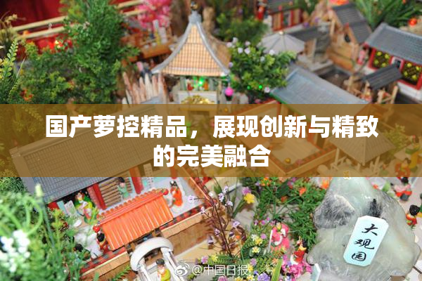 国产萝控精品，展现创新与精致的完美融合