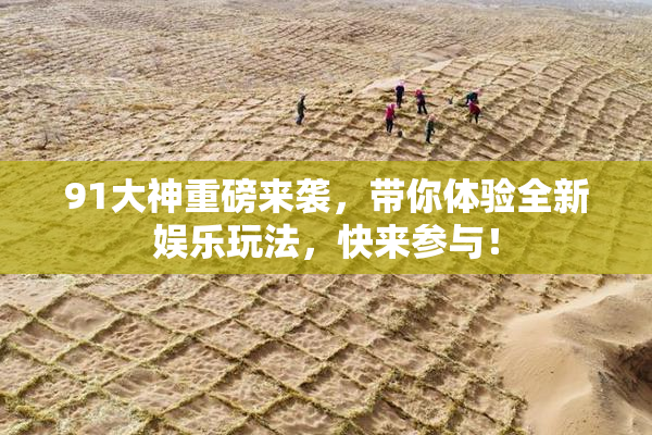 91大神重磅来袭，带你体验全新娱乐玩法，快来参与！