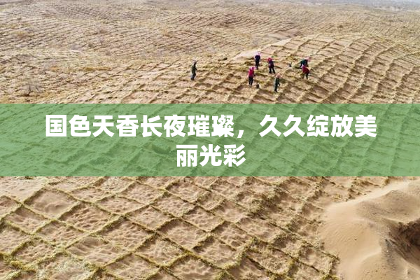 国色天香长夜璀璨，久久绽放美丽光彩