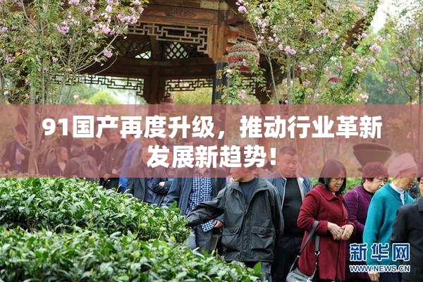 91国产再度升级，推动行业革新发展新趋势！