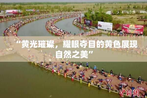 “黄光璀璨，耀眼夺目的黄色展现自然之美”