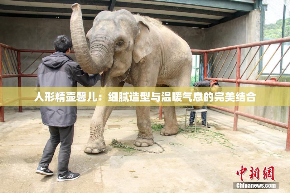 人形精壶馨儿：细腻造型与温暖气息的完美结合