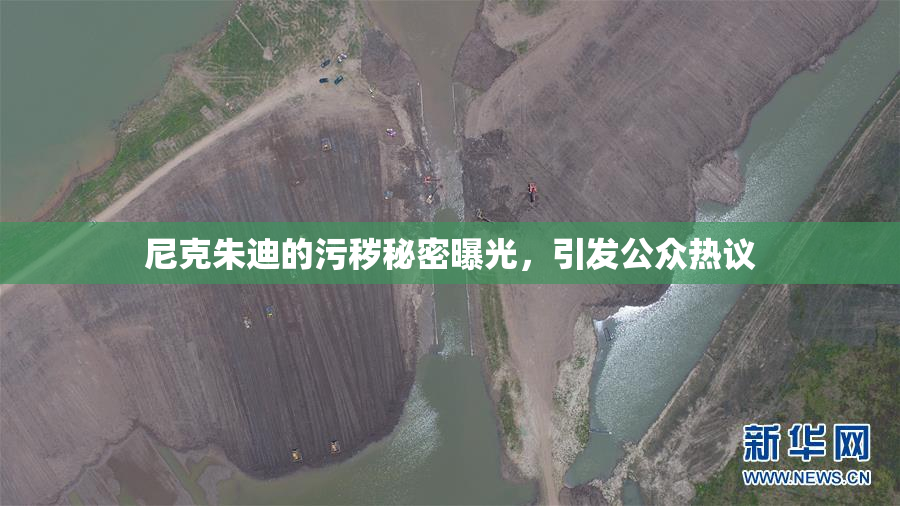 尼克朱迪的污秽秘密曝光，引发公众热议