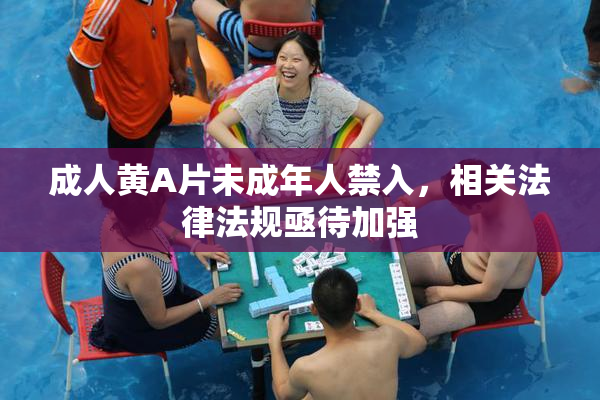 成人黄A片未成年人禁入，相关法律法规亟待加强