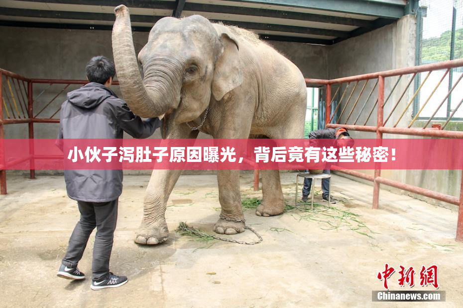 小伙子泻肚子原因曝光，背后竟有这些秘密！