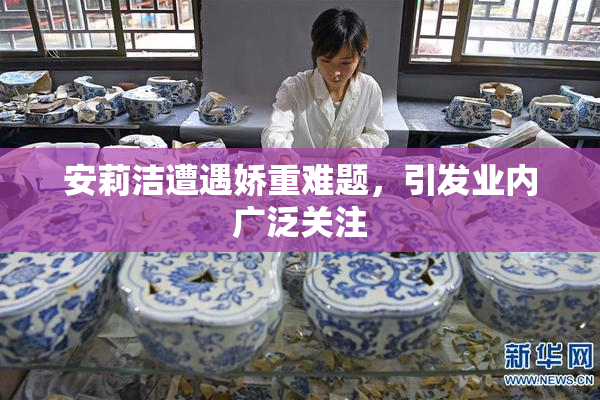 安莉洁遭遇娇重难题，引发业内广泛关注
