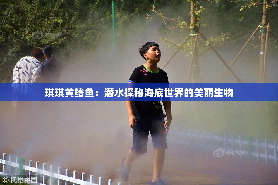 琪琪黄鳍鱼：潜水探秘海底世界的美丽生物