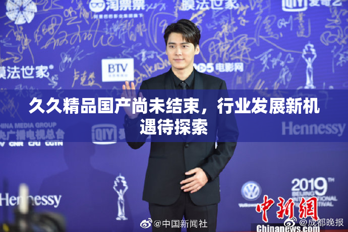 久久精品国产尚未结束，行业发展新机遇待探索