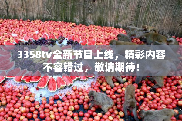 3358tv全新节目上线，精彩内容不容错过，敬请期待！