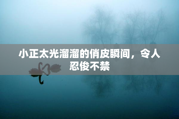 小正太光溜溜的俏皮瞬间，令人忍俊不禁