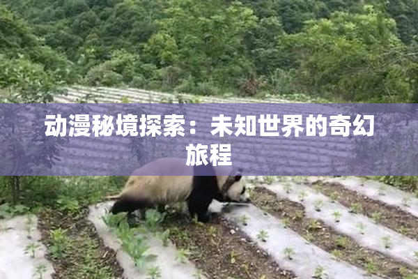 动漫秘境探索：未知世界的奇幻旅程