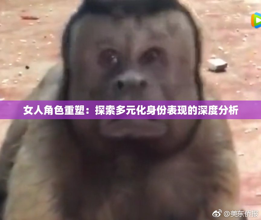女人角色重塑：探索多元化身份表现的深度分析
