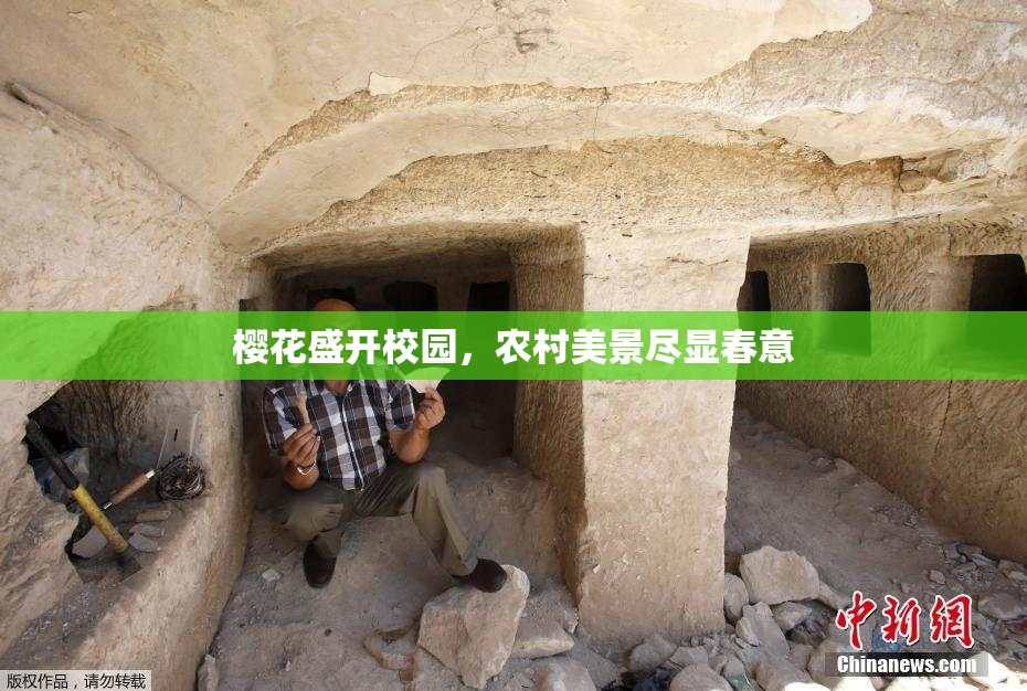 樱花盛开校园，农村美景尽显春意