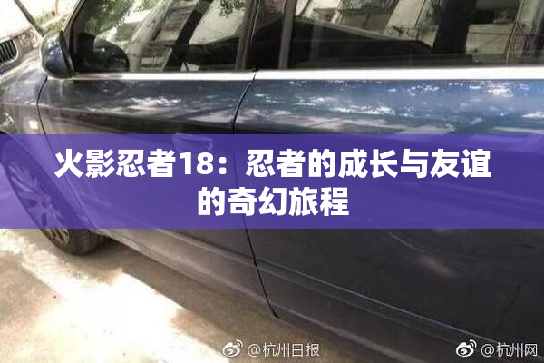 火影忍者18：忍者的成长与友谊的奇幻旅程