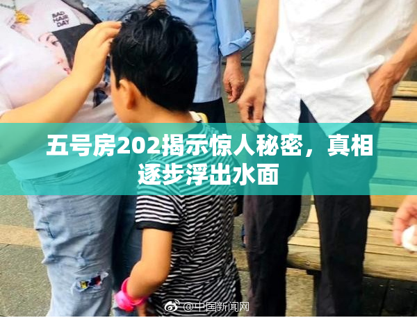 五号房202揭示惊人秘密，真相逐步浮出水面