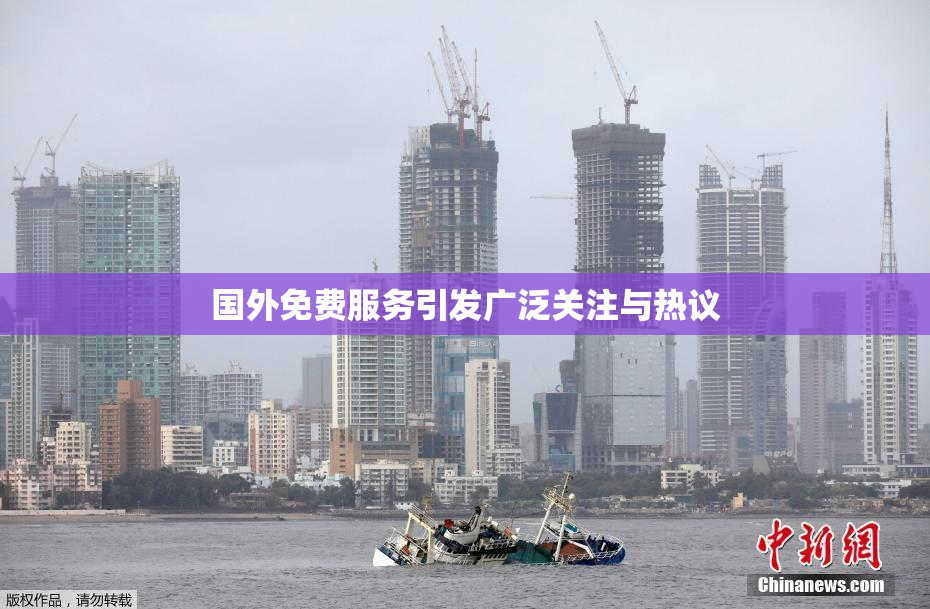 国外免费服务引发广泛关注与热议