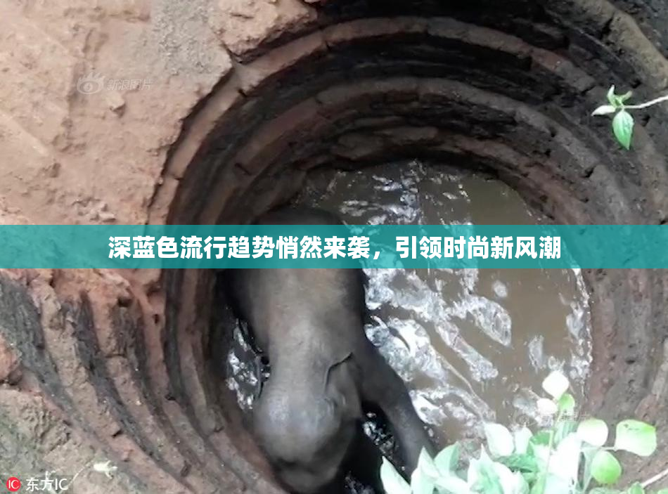 深蓝色流行趋势悄然来袭，引领时尚新风潮