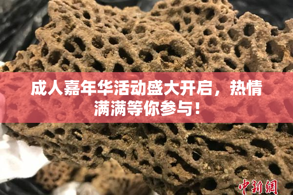 成人嘉年华活动盛大开启，热情满满等你参与！