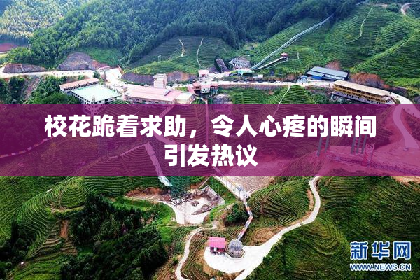 校花跪着求助，令人心疼的瞬间引发热议