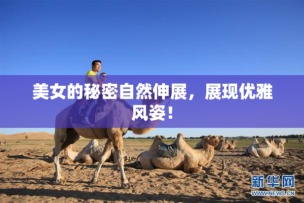 美女的秘密自然伸展，展现优雅风姿！