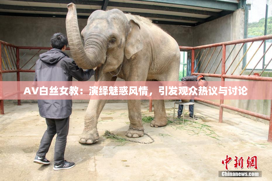 AV白丝女教：演绎魅惑风情，引发观众热议与讨论