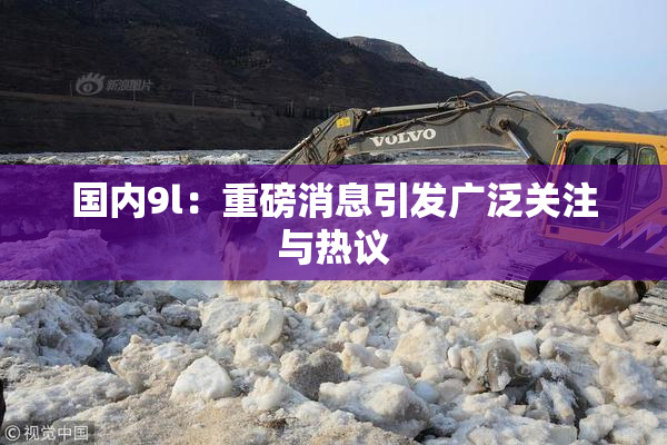 国内9l：重磅消息引发广泛关注与热议