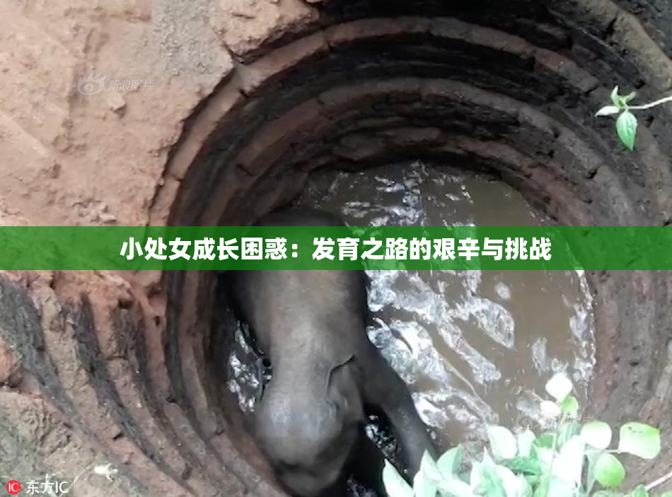 小处女成长困惑：发育之路的艰辛与挑战