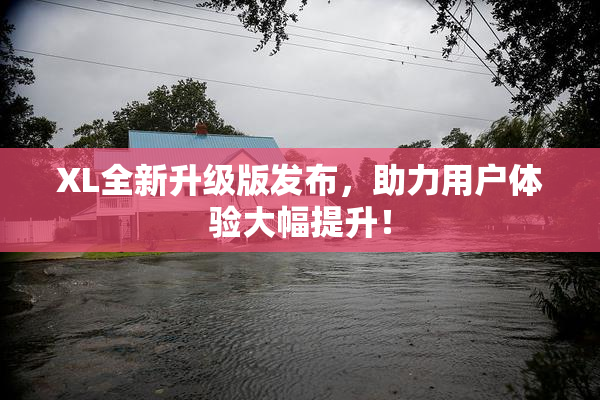 XL全新升级版发布，助力用户体验大幅提升！