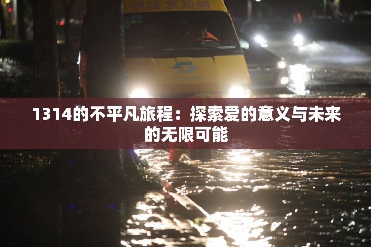 1314的不平凡旅程：探索爱的意义与未来的无限可能