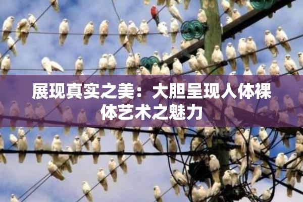 展现真实之美：大胆呈现人体裸体艺术之魅力