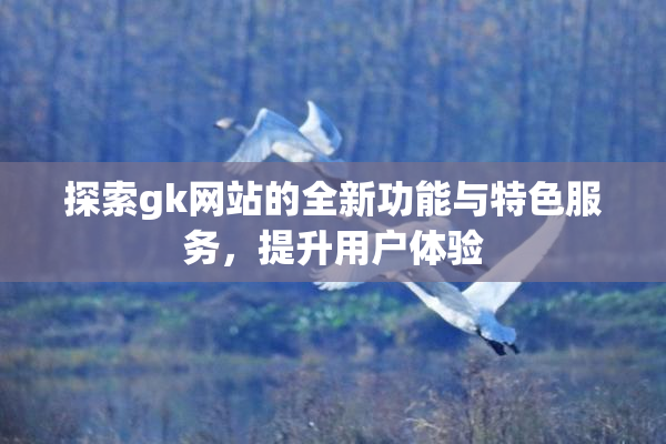 探索gk网站的全新功能与特色服务，提升用户体验