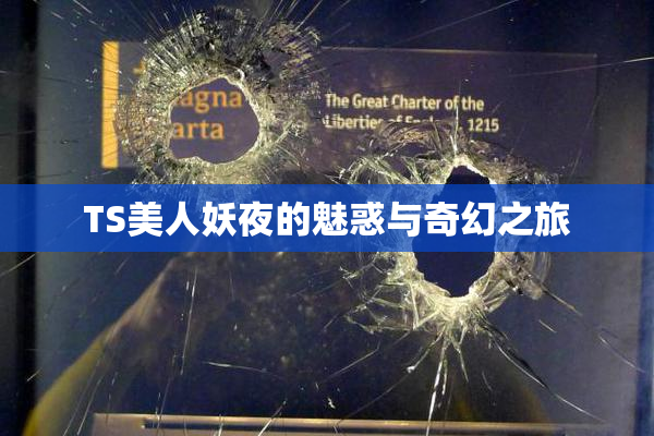 TS美人妖夜的魅惑与奇幻之旅