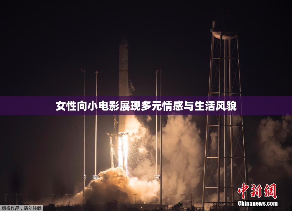 女性向小电影展现多元情感与生活风貌