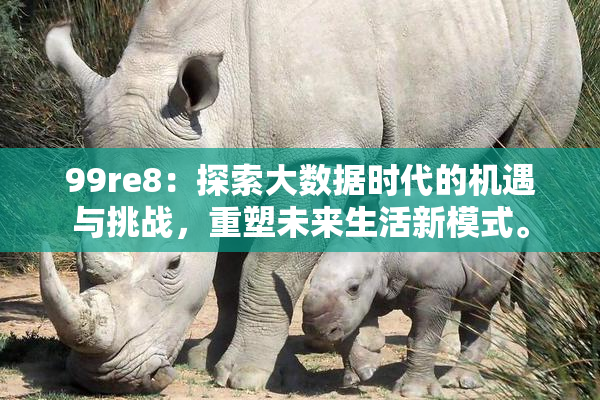 99re8：探索大数据时代的机遇与挑战，重塑未来生活新模式。