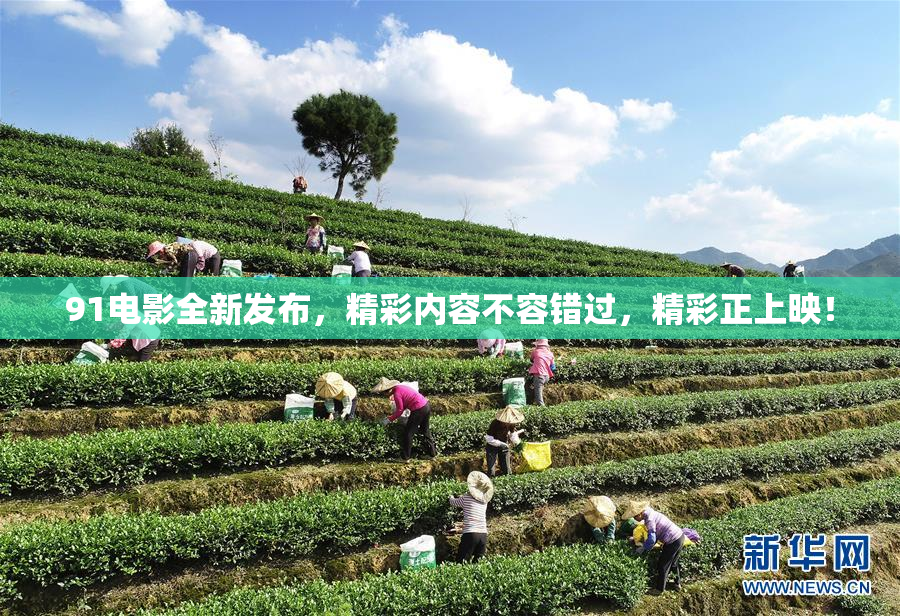 91电影全新发布，精彩内容不容错过，精彩正上映！