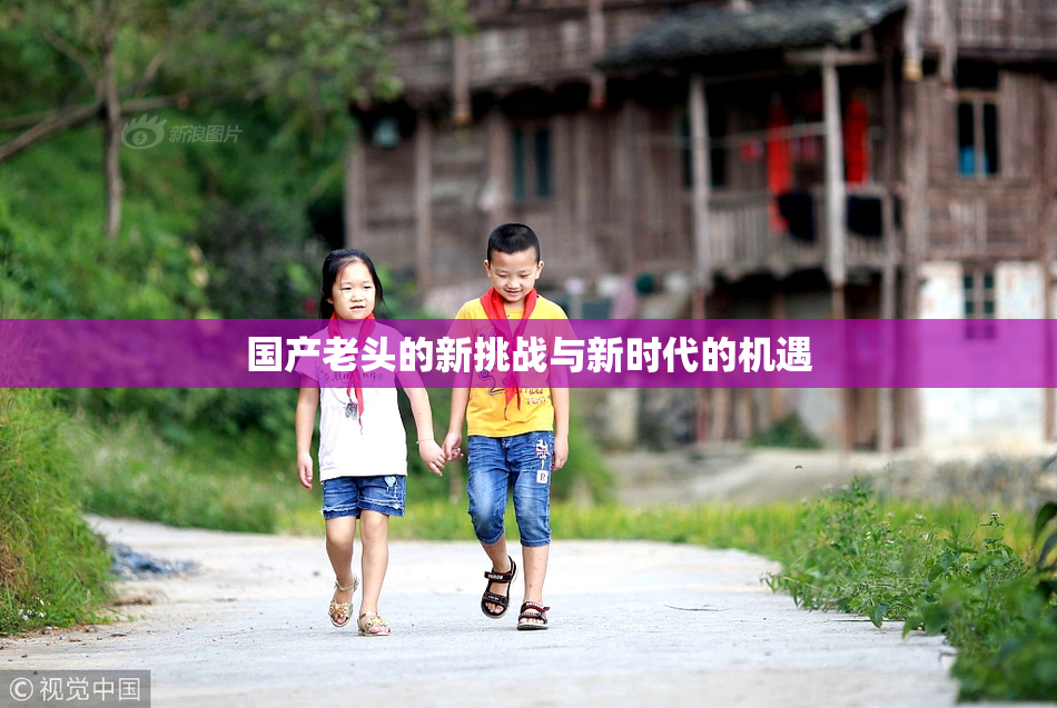 国产老头的新挑战与新时代的机遇
