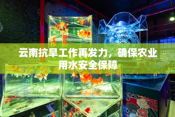 云南抗旱工作再发力，确保农业用水安全保障