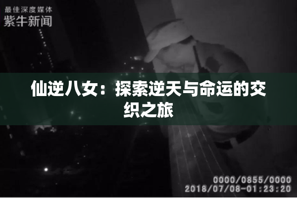 仙逆八女：探索逆天与命运的交织之旅
