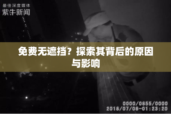 免费无遮挡？探索其背后的原因与影响