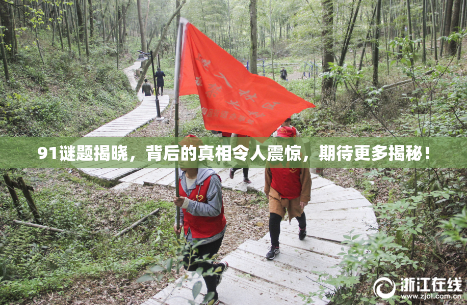 91谜题揭晓，背后的真相令人震惊，期待更多揭秘！