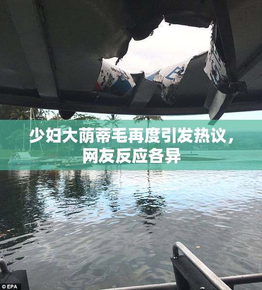 少妇大荫蒂毛再度引发热议，网友反应各异