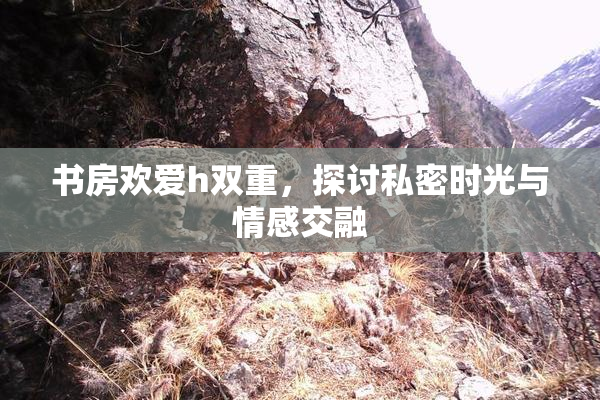 书房欢爱h双重，探讨私密时光与情感交融