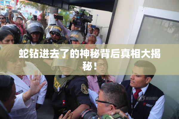 蛇钻进去了的神秘背后真相大揭秘！