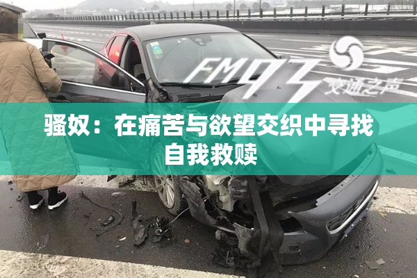 骚奴：在痛苦与欲望交织中寻找自我救赎