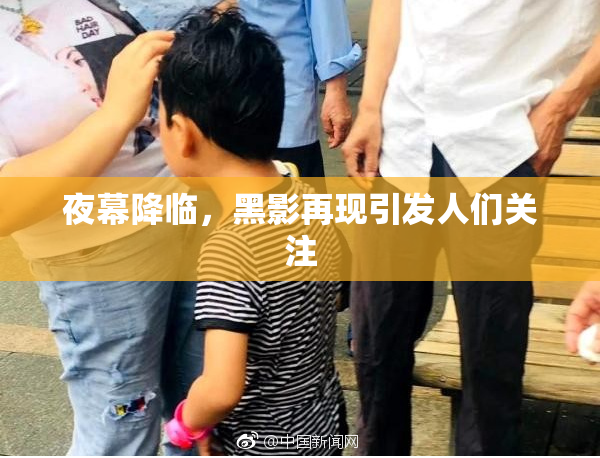 夜幕降临，黑影再现引发人们关注
