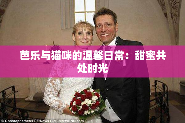 芭乐与猫咪的温馨日常：甜蜜共处时光
