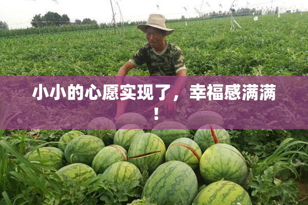 小小的心愿实现了，幸福感满满！